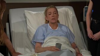 The Young and the Restless S53E182 WEB H264-RBB
